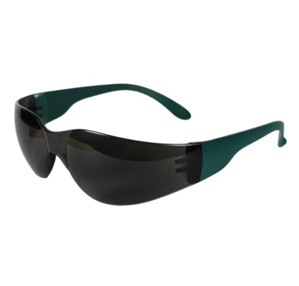 AAA034 lente senador gris